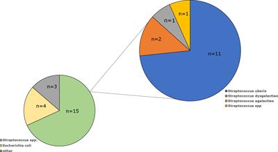 Detection of immunoreactive proteins of Escherichia coli, Streptococcus uberis, and Streptococcus agalactiae isolated from cows with diagnosed mastitis